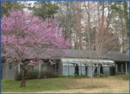 Pea Patch Ranch and Buena Vista Cottage